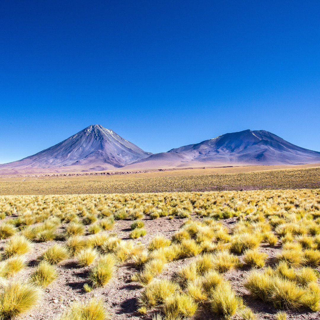 Montañismo y Alta Altura