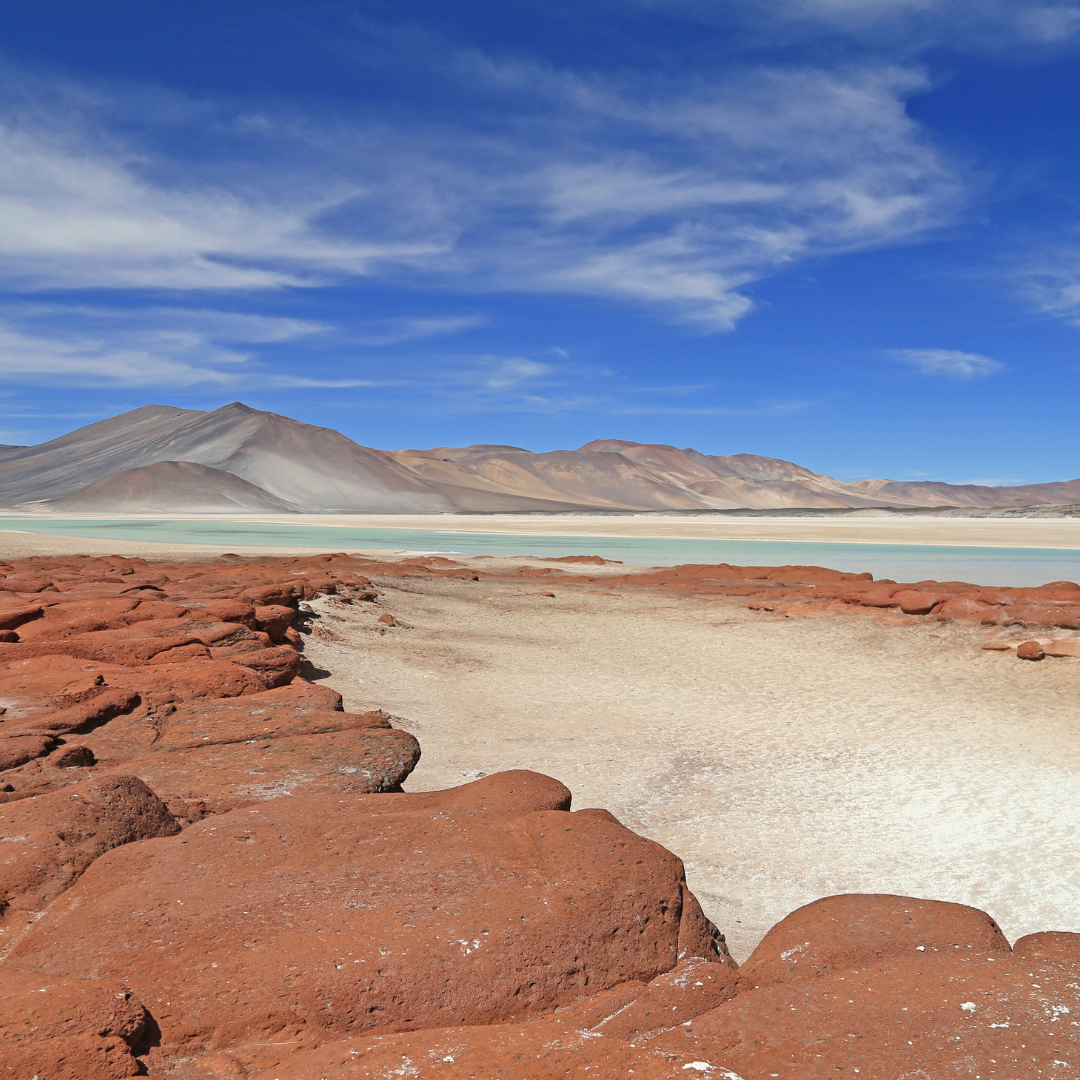 Tour Piedras Rojas y Lagunas Altiplánicas