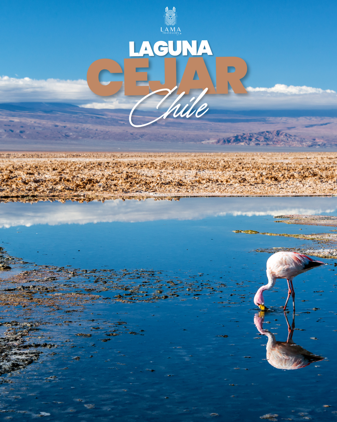 Regala Viajar - Pack Completo 5 Tours en 4 Días