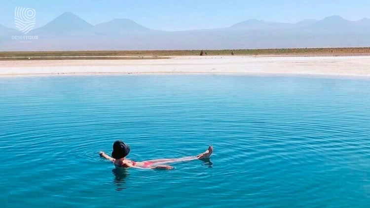 Tour Matutino a Laguna Cejar