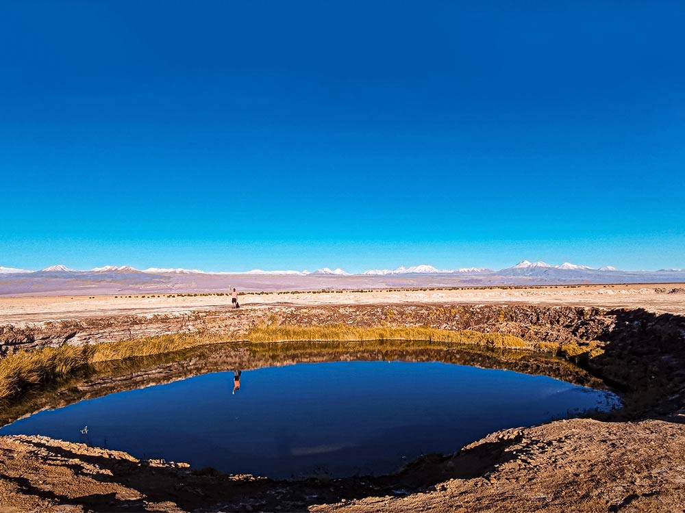 Tour Matutino a Laguna Cejar