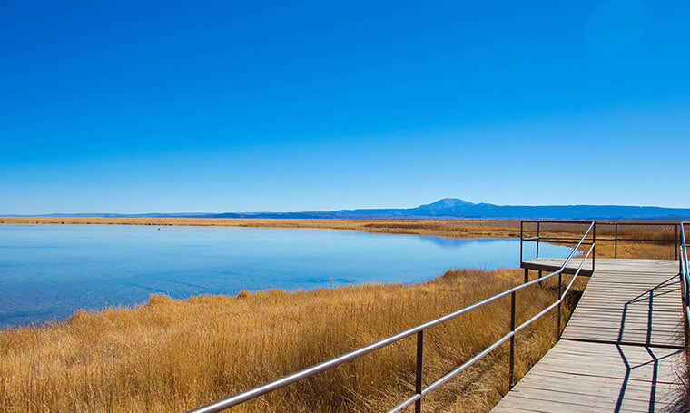 Tour Matutino a Laguna Cejar